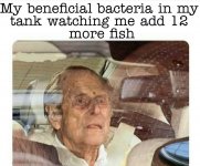beneficial-bacteria.jpg