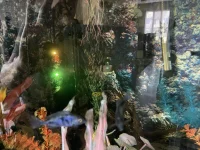8B335214-62FE-4E38-B000-5D2E2EC3BF58.jpeg