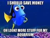save-money-aquarium.jpg