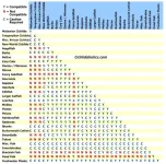 fish-compatibility-chart.jpg fish-compatibility-chart.jpg