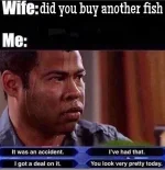 buy-new-fish.jpg