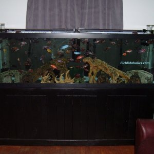 125-gallon-aquarium-002.JPG